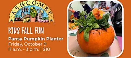 Kids Pansy Pumpkin Planter