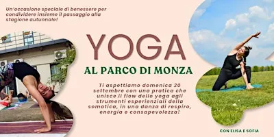 YOGA AL PARCO DI MONZA
