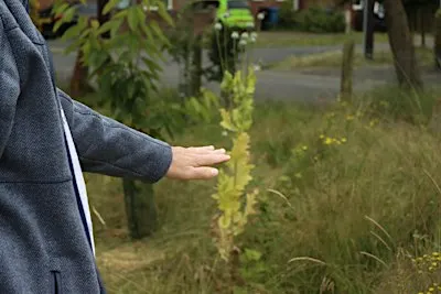 From community gardens to the river (11am)