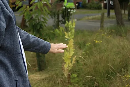 From community gardens to the river (11am)