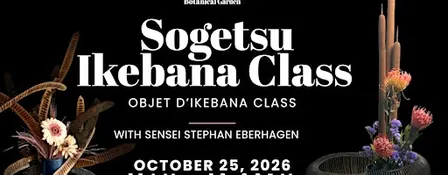 Sogetsu Ikebana Class