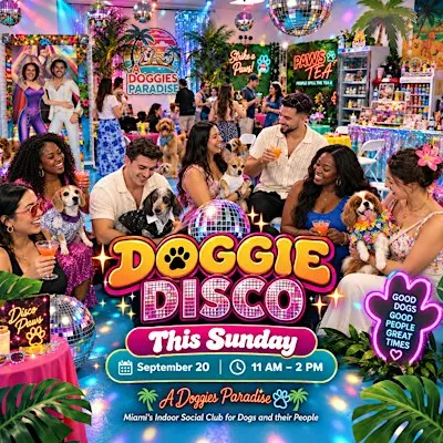 Doggie Disco at A Doggies Paradise