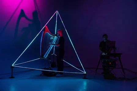 Harp Revolution - Adriano Sangineto