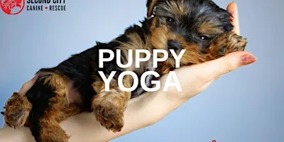 Puppy Yoga