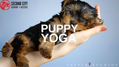 Puppy Yoga