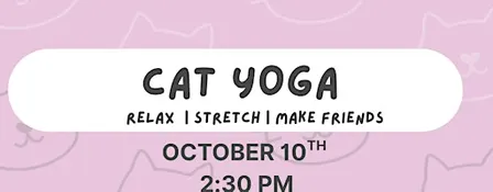 KITTY YOGA