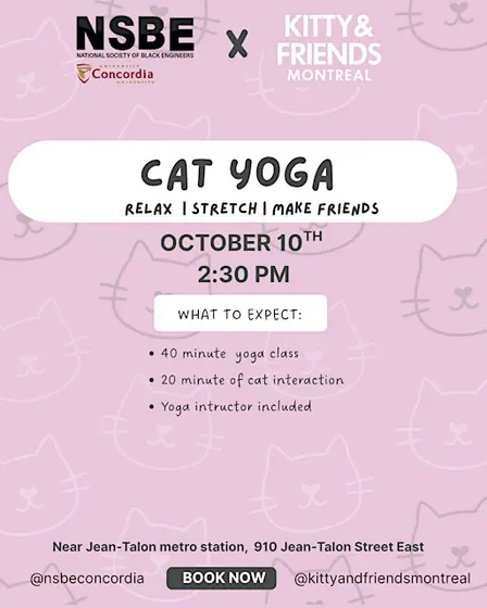 KITTY YOGA