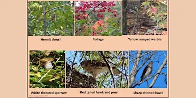Van Cortlandt Nature Group Walk