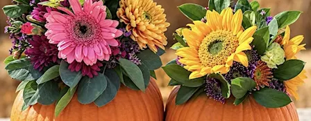 Pumpkins & Petals