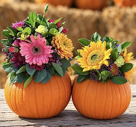 Pumpkins & Petals