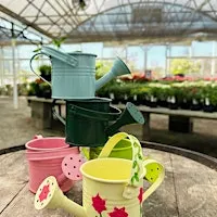 Kids Event: Watering Can Decorating