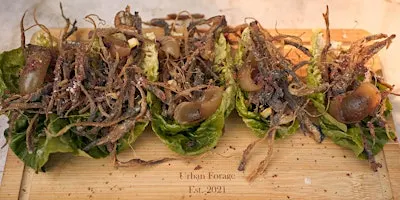 Forage and Feast Forage walk with Wild Lunch, Brighton Foraging Mothers Day