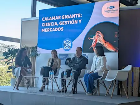 Gobernanza y Sostenibilidad en el Calamar Global