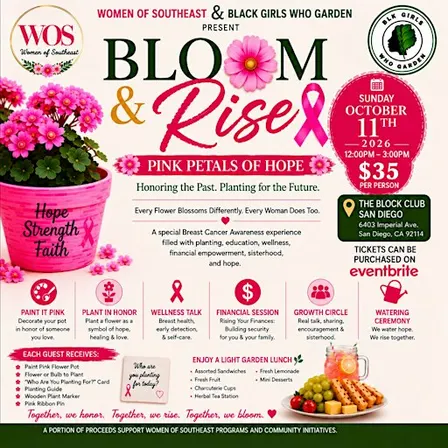 Bloom & Rise: Pink Petals of Hope