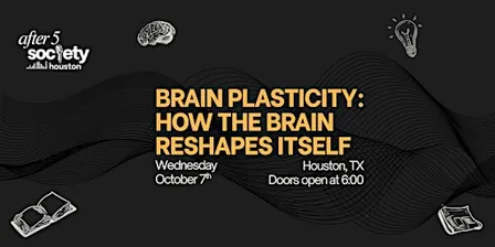After5Houston - Brain Plasticity: How The Brain Reshapes Itself