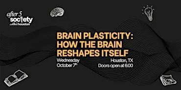 After5Houston - Brain Plasticity: How The Brain Reshapes Itself