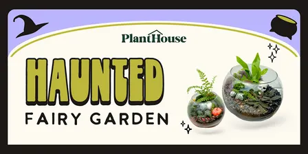 Haunted Fairy Garden Terrarium Workshop