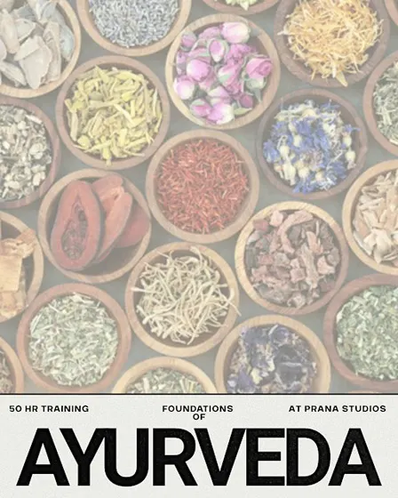 Foundations of Ayurveda