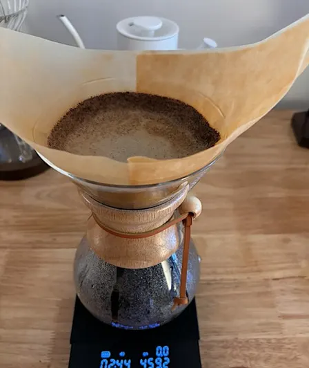 Specialty Coffee Tasting + Ending Brain Fog & the 3 PM Slump