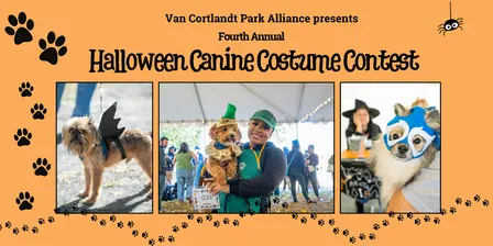 Annual Canine Costume Contest