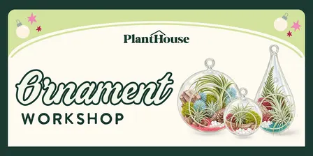 Living Ornament Workshop