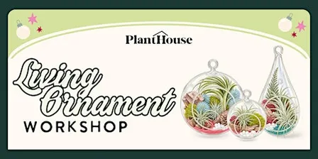 Living Ornament Workshop