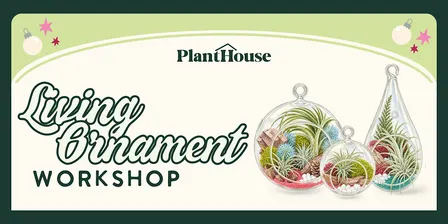 Living Ornament Workshop