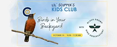 Lil' Scuppers Kid’s Club: Birds in Your Backyard with BSBO