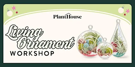 Living Ornament Workshop
