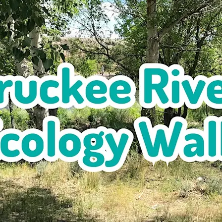 Truckee River Ecology Walk - John Champion