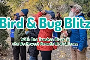Bird & Bug Blitz - with the Northern Nevada Bird Alliance