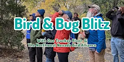 Bird & Bug Blitz - with the Northern Nevada Bird Alliance
