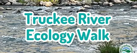 Truckee River Ecology Walk - Brodhead Park