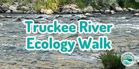 Truckee River Ecology Walk - Brodhead Park