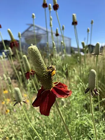 Fall Social and Seed Swap