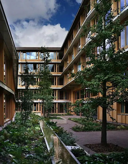 RIBA Norfolk , The Norwich Lecture 2026