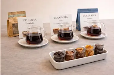 Coffee Intro 101