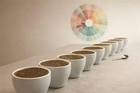 Intro to Coffee Cupping