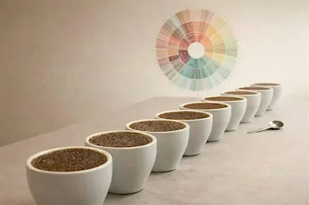 Intro to Coffee Cupping
