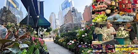 The Secret World of Flowers: Behind-the-Scenes NYC Floral District Tour