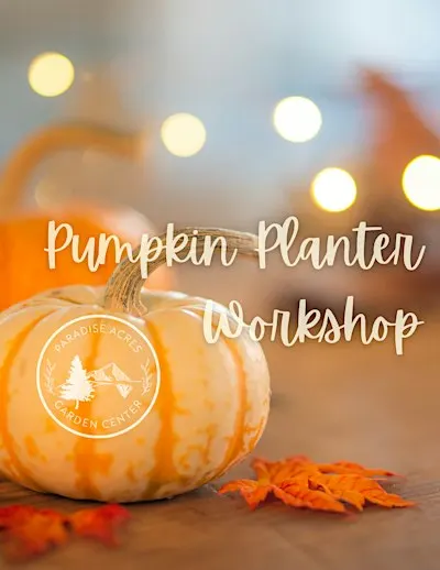 Pumpkin Planter Workshop
