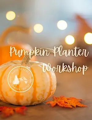 Pumpkin Planter Workshop