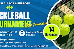 Pickleball for a Purpose