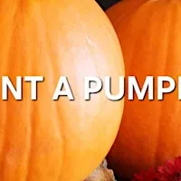 Pumpkin Painting Class