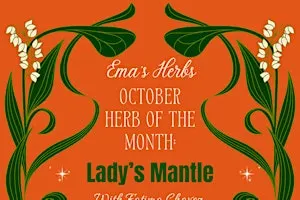 October Herb of the Month: Lady's Mantle with Fatima Chavez