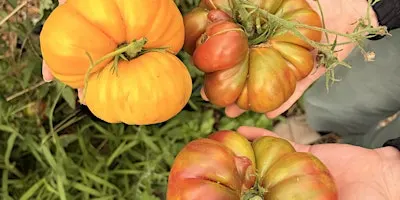 LGL Harvest Share CSA Box 9/23/26