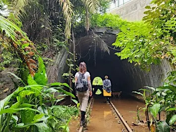 Maju Forest Community Nature Walk