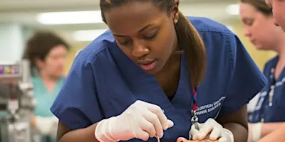 American Heart Association Columbia MO BLS Healthcare Provider CPR Class