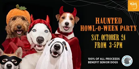 Haunted Howl-o-ween Party for Dogs at Wag Hotels Redwood City