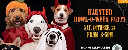 Haunted Howl-o-ween Party for Dogs at Wag Hotels Santa Clara